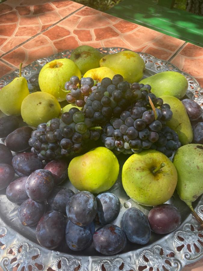 Green Oasis - Free Parking, Fruit Garden, Gratis Fruit, Bbq, Capacity Max 4 People * Sarajevo
