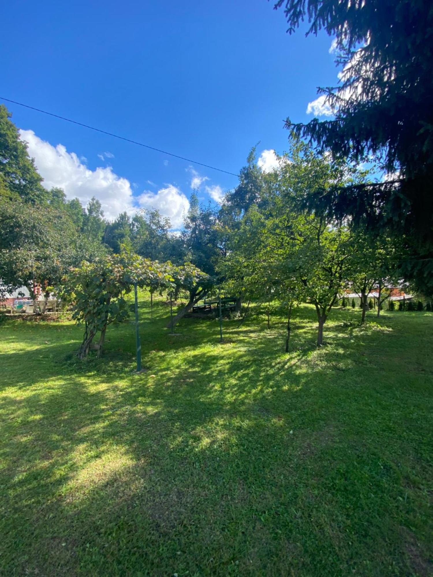Green Oasis - Free Parking, Fruit Garden, Gratis Fruit, Bbq, Capacity Max 4 People Apartment *